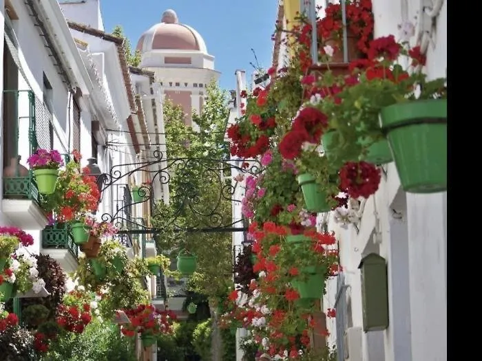 Spacious Apartment With Terrace And Garden Close To The Sea Estepona